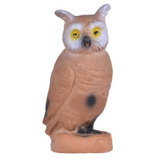 Longlife Little Owl